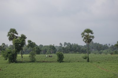 DSC_0017.jpg