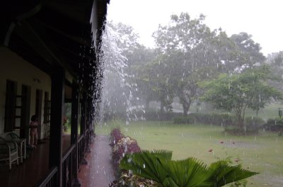 DSC_0013_2.jpg