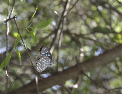 DSC_0073.jpg