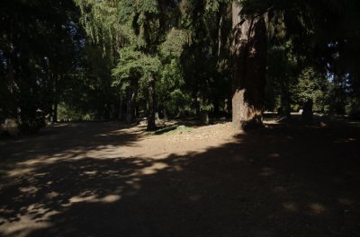 DSC_0057.jpg