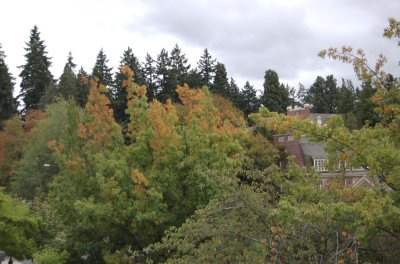 DSC_0028.jpg