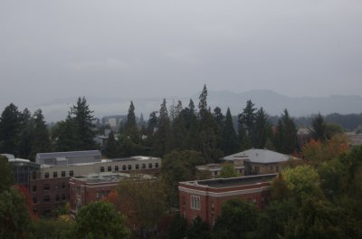 DSC_0089.jpg