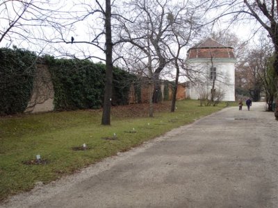 DSC00457.JPG
