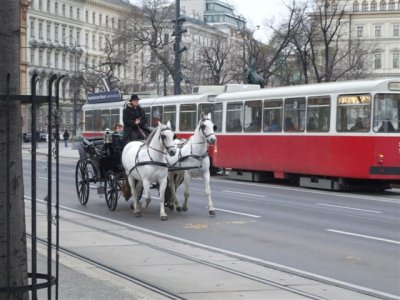 Parliment House (8).JPG