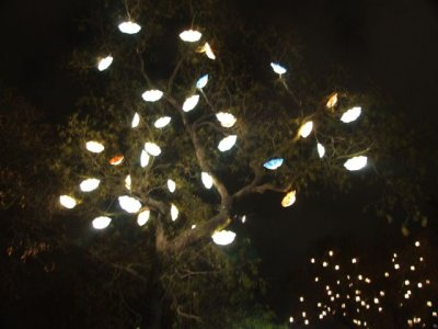 Rathaus Park Night lights (6).JPG