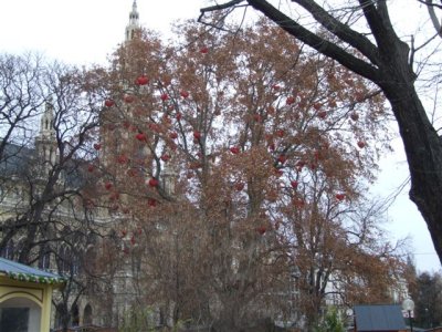 Rathause Park during the day (4).JPG