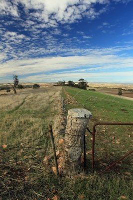 Mid North (100_9873)