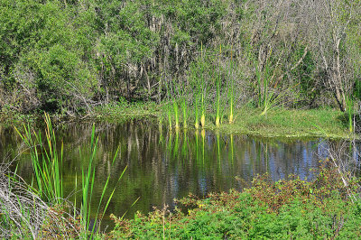 Eagle Lakes Community Park