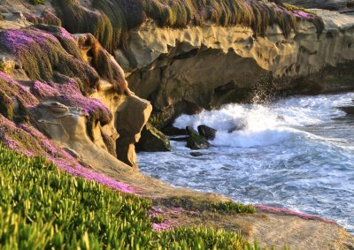 Colorful California Coastline