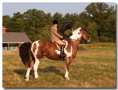 Horses & Hounds