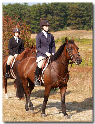 Horses & Hounds