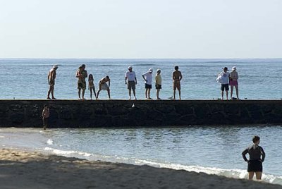 Waikiki Fish Watch