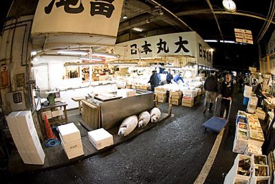 Tsukiji Fish Stalls