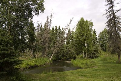 Campbell Creek Wilderness Area
