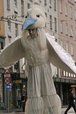 Birdman of Bergen