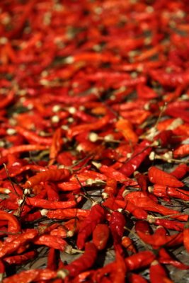Piments - Pepper
