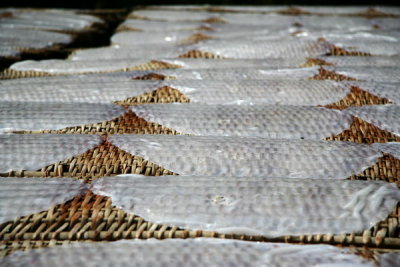 Feuilles de riz - Vietnam