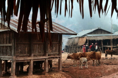 Akkha village - Muang Sing - Laos