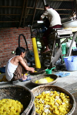 Making yellow noddles, around Hoi An, Vietnam