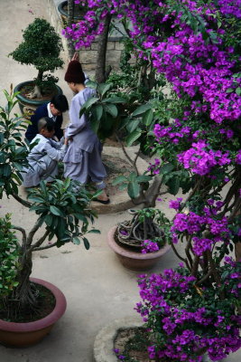 Novices playing in the garden - Dallat - Vietnam