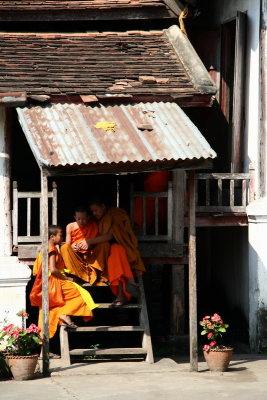Where the monks live - Luang Prabang - Laos
