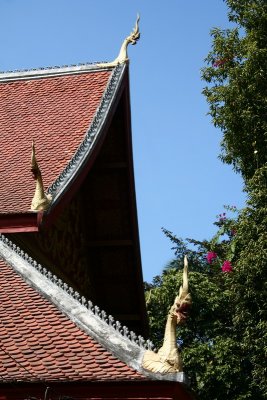 Temples' roofs