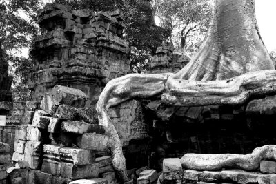 Angkor_NB_11.jpg