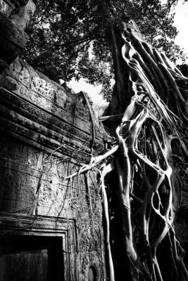 Angkor_NB_14.jpg