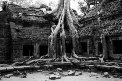 Angkor_NB_3.jpg