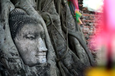 Head of Buddha in Wat Mahathat in Ayutthaya - Thailand