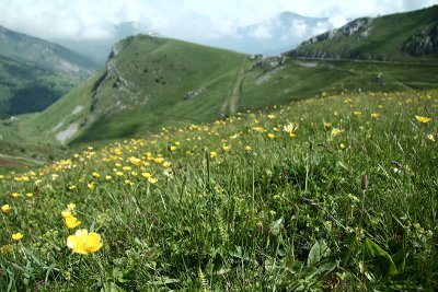 Col de Tende - 1870m