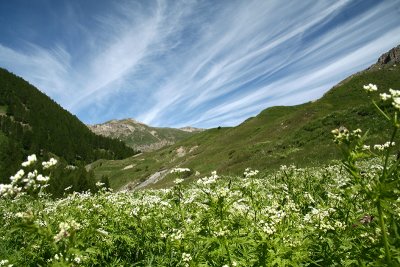 Col de Tende - 1870m