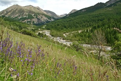 Autour du col d'Ayolle