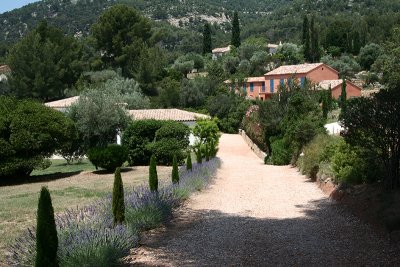 La fameuse lavande de provence... prochaine fois, je l'aurai comme rv!