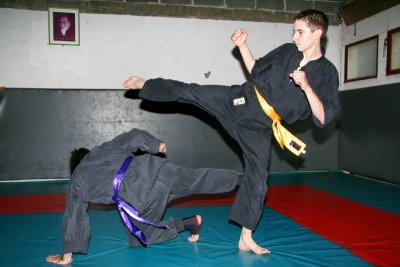Choy Lee Fut - Kung Fu - Blois More pictures here
