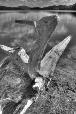 Piece of wood- Reserve Papineau Labelle - Canada More pictures here