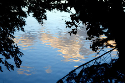 Reflection