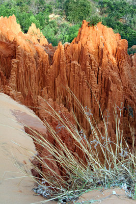 Mui Ne -Vietnam
