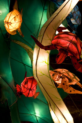 Chinese lantern - Jardin botanique - Montreal