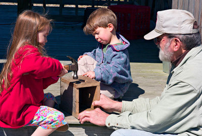 Building Bluebird Houses