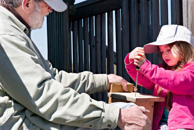 Building Bluebird Houses, II