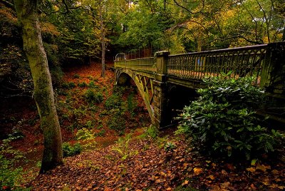 Balgay Park Bridge.