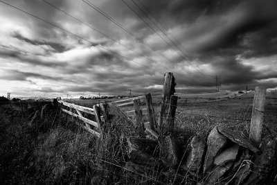 65 Depth Of Field: Depth Of Field.