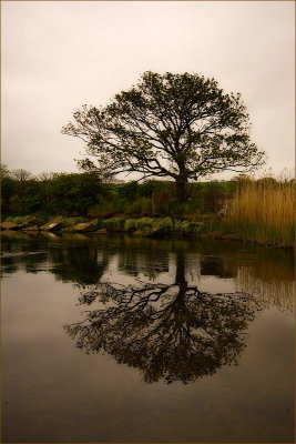 Lunan Water Reflections.