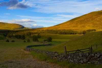 Stone Dyke.