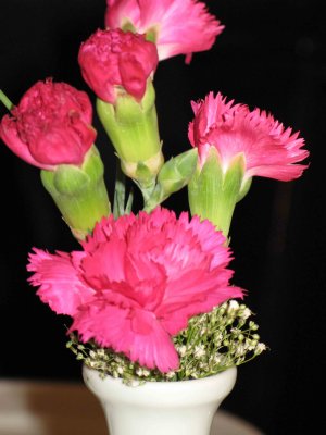 2007.04.06 1