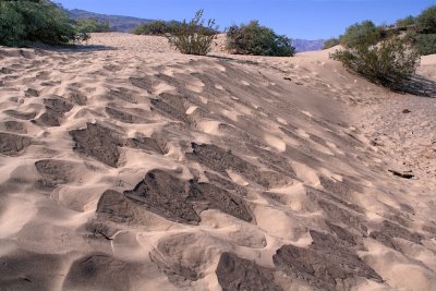 Sand Dunes2