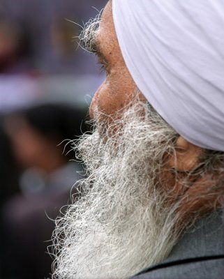 Beard Closeup.jpg
