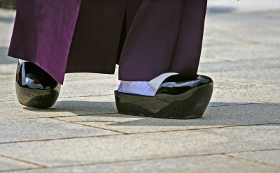 Traditional footwear