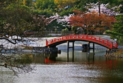 Bridge - Nara